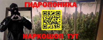 стафф Лесосибирск