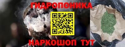 стафф Лесосибирск