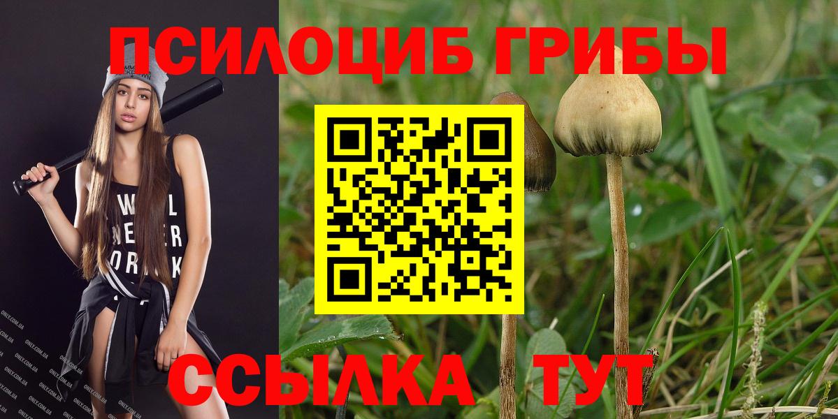 Галлюциногенные грибы ЛСД Барабинск
